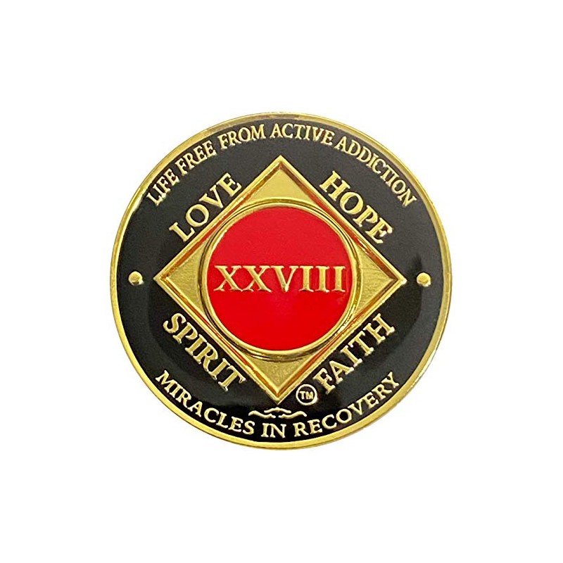 Simply Minimal 28 Year NA Gold Color Plated-Medallion, Recovery Chip,
