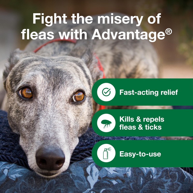 Advantage Dog Flea Treatment Spray | Kills Fleas & Ticks