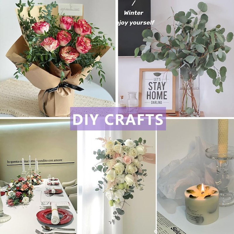 DTXMOH Shower Plant, 67 Stems Dried Eucalyptus and Lavender Bundle