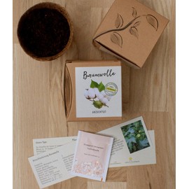 NATUR KRAFTWERK Gift Cultivation Set Cotton with Seeds of Pot Cotton, Great Gift Idea from Naturkraftwerk