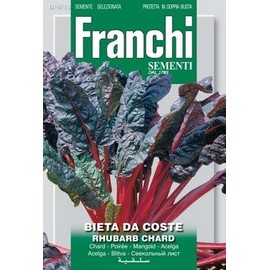 Italian Heirloom Chard - Rhubarb Chard