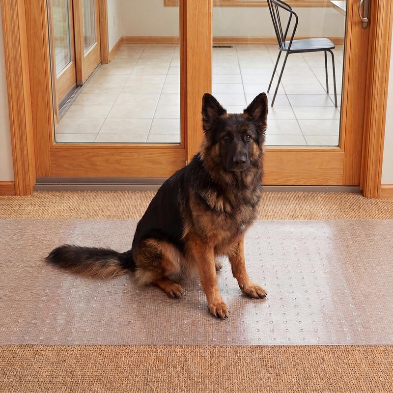 Czoynife Carpet Protector for Pets - Cat Scratch Guard Mat,