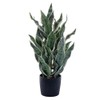 Vickerman TB251332 32 in. Green & Gray Sansevieria Snake Plant