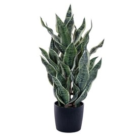 Vickerman TB251332 32 in. Green & Gray Sansevieria Snake Plant