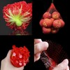 100 Pieces Melon Hammocks Melon Nets Bags, Reusable Cantaloupes Mesh