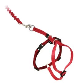 PetSafe Come with Me Kitty and Bungee Adjustable Leash Cat Harness - Blue - Red, S