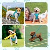 Small Dog Harness and Leash Set, No Pull Adjustable Reflective