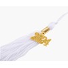 GradClassical Unisex Adult Matte Graduation Cap with 2024 Tassel for