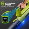 Electric Cordless Leaf Blower,540 CFM/170 MPH,Battery Powered with 2 x