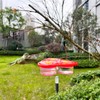 3-in-1 Suction Cup Hummingbird Feeder for Window, Outdoor Hanging