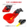 Automatic Chicken Water Feeder Drinking Cup Water Saving Design Feeder