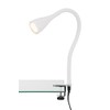 Briloner Leuchten LED clamp light, clamp spot, clamp lamp, table