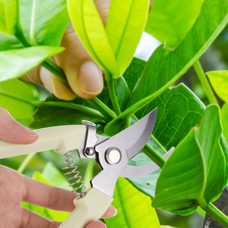 12 Pcs Garden Shears Flower Scissors Pruning Shears Floral Garden