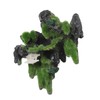ZIZEV Adorno de Rocalla para Acuario, Decoración de Rocalla de