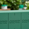 Oasis Pak De 12 Pzs Esponja Floral