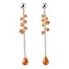 Franki Baker Natural Carnelian Gemstone and Sterling Silver Drop Earrings
