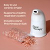 Plant Therapy Pink Himalayan Salt Inhaler w/Pink Himalayan Crystal Salt,