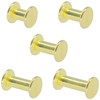 100 Sets Chicago Screws,Leather Rivets Sets with Five Sizes (Gold)