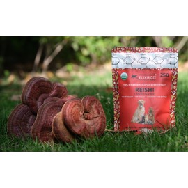 PURE REISHI >35% β-glucans, 100% Mushrooms Fruiting bodies Extract for Dogs & Cats Immune & Digestive system health, Anti-inflammatory, Antioxidative for Canine & Feline Longevity & health