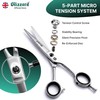 Blizzard Professional Hairdressing Scissors - Japanese 420 Steel Micro-Serrated Hair