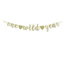 One Wild Year Gold Glitter Banner, Wild One Party Sign, Baby Shower Party Garland, Baby Kids 1st Birthday Party Bunting, Boys Girls One Year Old Birthday Party Decorating Supplies