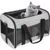 Funda de transporte para gatos, aprobada por aerolíneas, protable y