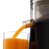 Omega C2100B High Juicer with Extra Large Three-Inch Chute Extracts
