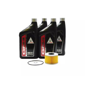 Pro Honda 2009-2025 Honda Rancher 420 TRX420 FA 1 2 5 6 FPA 4X4 OEM Pro Oil Change Kit H33