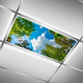 C.IOPMNU 2 Pack Fluorescent Light Cover for Classroom, Green Tree Drop Ceiling Decorative Film Filter,Blue Sky Eliminate Harsh Glare Causing Eyestrain and Headaches…