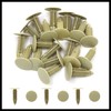 Hihaha 20 Pcs Beige Car Body Panel Plastic Rivets Retainer