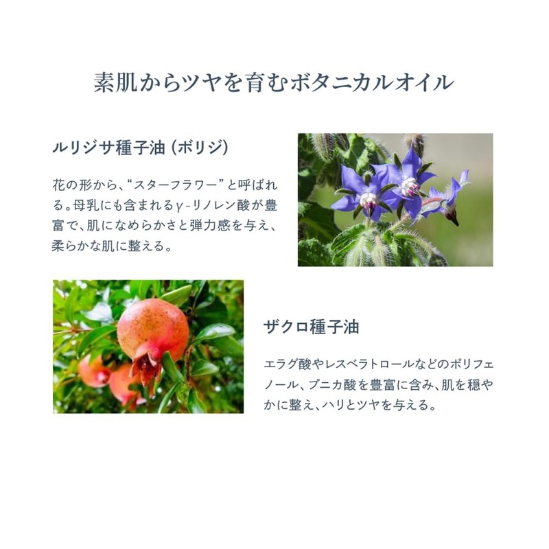 Waphyto UV Cream Pink Glow 30g Sunscreen Makeup Base SPF40