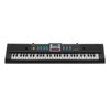 61Key Mini Electric Piano Black MultiFunctional Studio Toy with Microphone