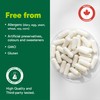 Organika Organika Green Tea Extract 60 Vcaps