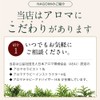 Nagomi Aroma Essential Oil Trial Set [AEAJ Certified Essential Oils]