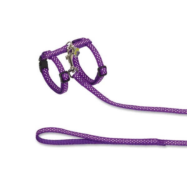 Nobby Dots Collar/Leash Set, Purple