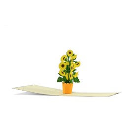 Geburtstagskarte mit Sonnenblumen z.B. für Frauen | Fröhliche Sonnenblumen Pop up Karte Geburtstag | Glückwunschkarte oder Gutschein zum Geburtstag, Muttertag, F21
