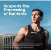Multivitamínico diario Optimum Nutrition Opti-Men para hombres, apoyo inmunológico, 240