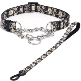 Haoyueer Martingale Dog Collar and Leash Set, Stainless Steel Chain, No Pull Training Collar with Flower Design, for Small, Medium, Large Dogs (NO36, L)