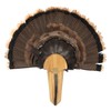 EZ Mount EXHIBITION TURKEY TAIL MOUNTING KIT, HARDWOOD