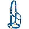 Weaver Leather Original Non-Adjustable Nylon Horse Halter, Small, Blue