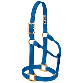 Weaver Leather Original Non-Adjustable Nylon Horse Halter, Small, Blue