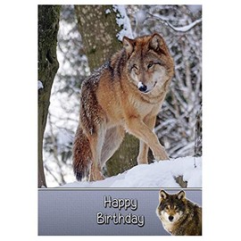 Wolf Birthday Card