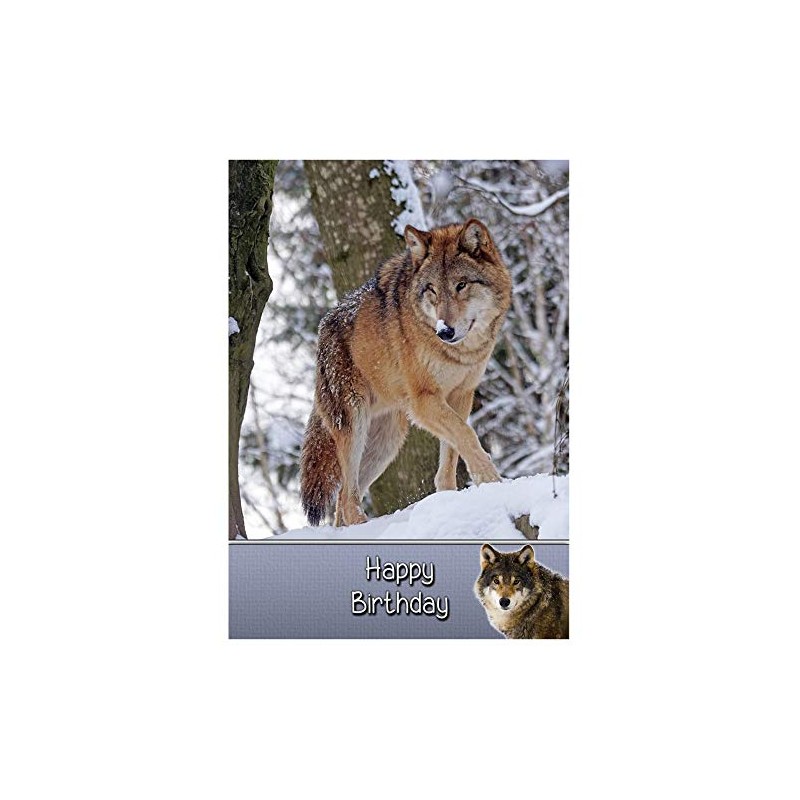 Wolf Birthday Card