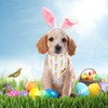 ADOGGYGO Easter Dog Bandana, Carrot Rabbit Easter Egg Dog Scarf,
