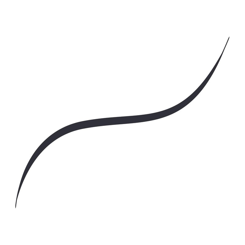 L'Oréal Paris Infaillible 36H Grip Micro-Fine Liner Obsidian Eyeliner for