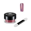 Bluesky Chrome Nail Powder Kit With Applicator Brush Metallic Gel