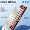 East top Harmonica D, Blues Harmonica Key of D, 10