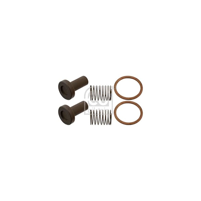 febi bilstein 07879 Rep. Set of Valve for Fuel Pump,