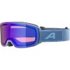 ALPINA Unisex Ski Goggles, Smoke Blue Matt, M