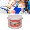 Teeth Dental Demonstration Model, Dental Typodont Tooth Model with Orthodontic